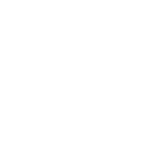 Standard Icon